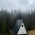 лісовий трикутник Chalet Mykulychyn