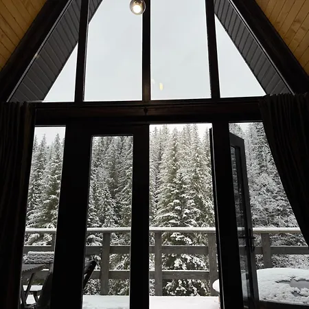 лісовий трикутник * Mykulychyn