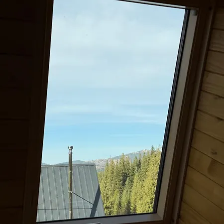 лісовий трикутник