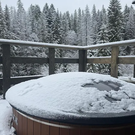 лісовий трикутник * Mykulychyn