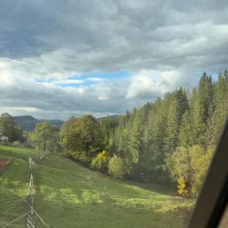 лісовий трикутник Σαλέ Mykulychyn