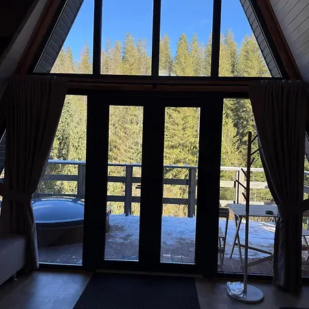 Σαλέ лісовий трикутник Mykulychyn