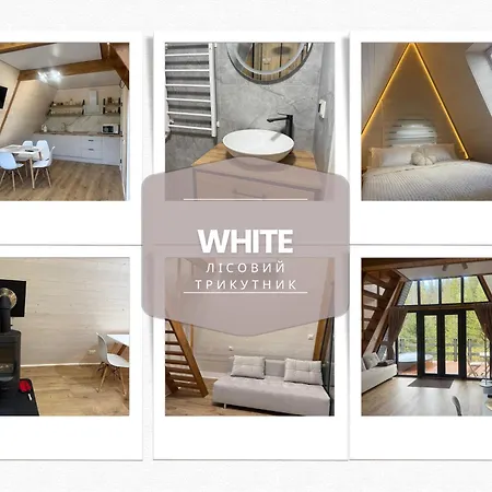 лісовий трикутник Σαλέ