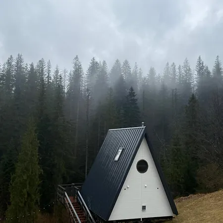 лісовий трикутник Chalet Mykulychyn