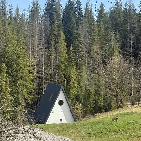 лісовий трикутник Chalet Mykulychyn