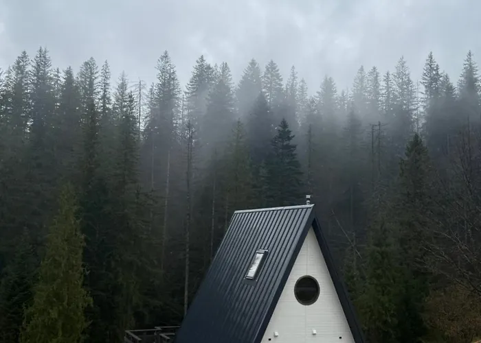 лісовий трикутник Chalet Mykulychyn