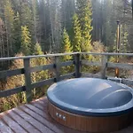 лісовий трикутник