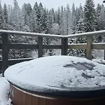 лісовий трикутник * Mykulychyn